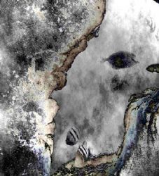 Bimini by Sergio Loppel 